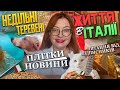 Недільні теревені секта правильних думок Недільні теревені секта правильних думок