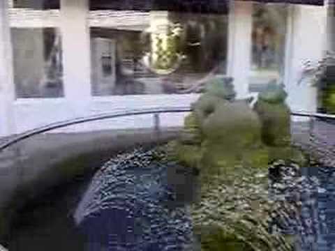 Throwing pennies into a fountain of merfrogs at the Stanford Shopping Center.