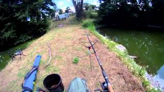 Peche Carpe en Loire || Session 72h.