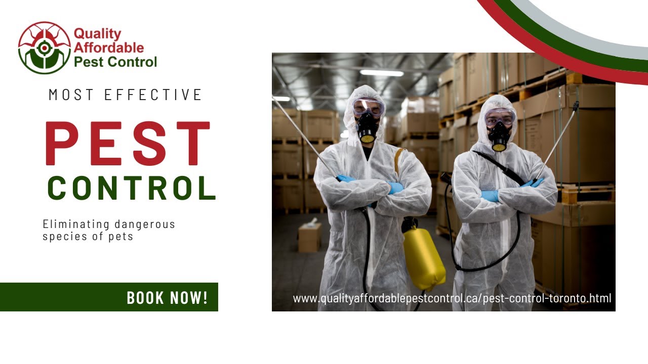 Toronto pest control