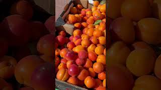 POV: €0.99 fruit in Spain… real?