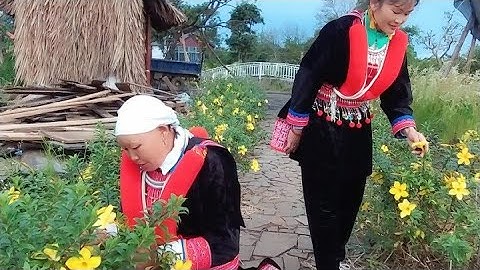 Bài ca hay nhất kênh#hát lượn Dao đỏ#tiếng tiếng hát dân ca dân tộc Dao đỏ...