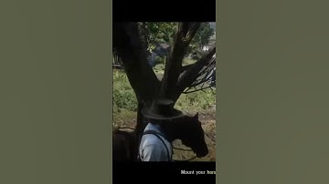 Red Dead Redemption 2 Cinematic mode and follow trail dont work