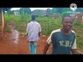 Pesa Ya Baba Pesa Ya Baba