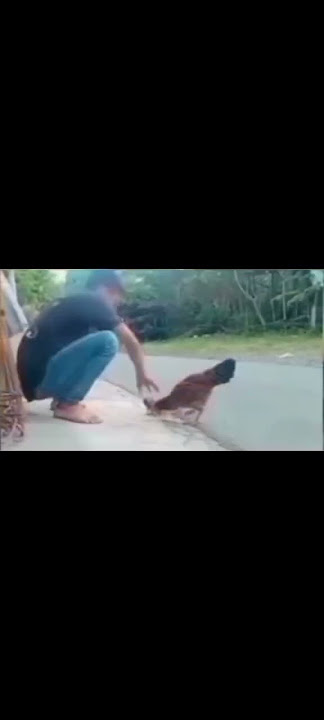 Ako 0ag walang ginagawa