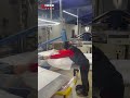 Fully automatic oval printing machine,Easy control but high efficiency,Chendi present!