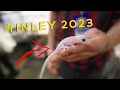 Tinley park reptile show 2023