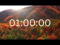 1 hour timer with music