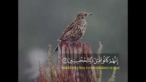 {إن المتقين في جناتٍ وعيون}🎧 حالات واتس اب قران كريم💖 اجمل حالات واتس اب دينية// تلاوة مبكية😭