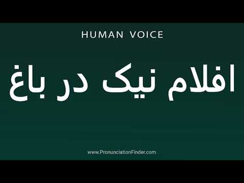    افلام نیک در باغ