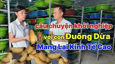 Câu chuyện khởi nghiệp với con Đuông Dừa , Mang Lại Kinh Tế Cao