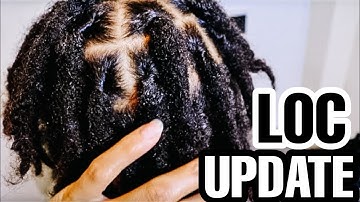 11 MONTH LOC UPDATE | FRIZZY TWO STRAND TWIST STARTER LOCS | LOC JOURNEY