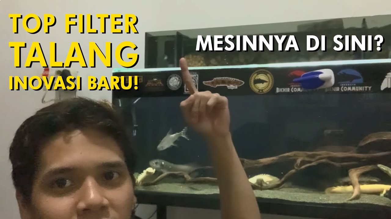 Inovasi Top Filter! Mesin Pompa Tidak di Dalam Aquarium?