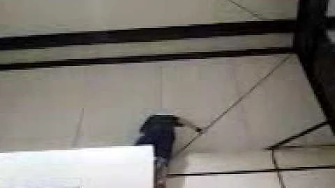 zach berry climbing part 1