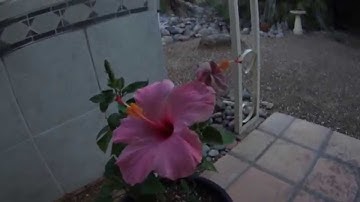 Contour Roam 2 Test Video 1080p30