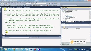 ASP.NET Simple Theme