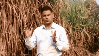 Shri Jabarpal Singh, a Sugarcane Producer of Karanpur Village, District Bareilly, Uttar Pradesh