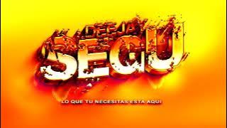 MIX FIN DE AÑO DJ SEGU