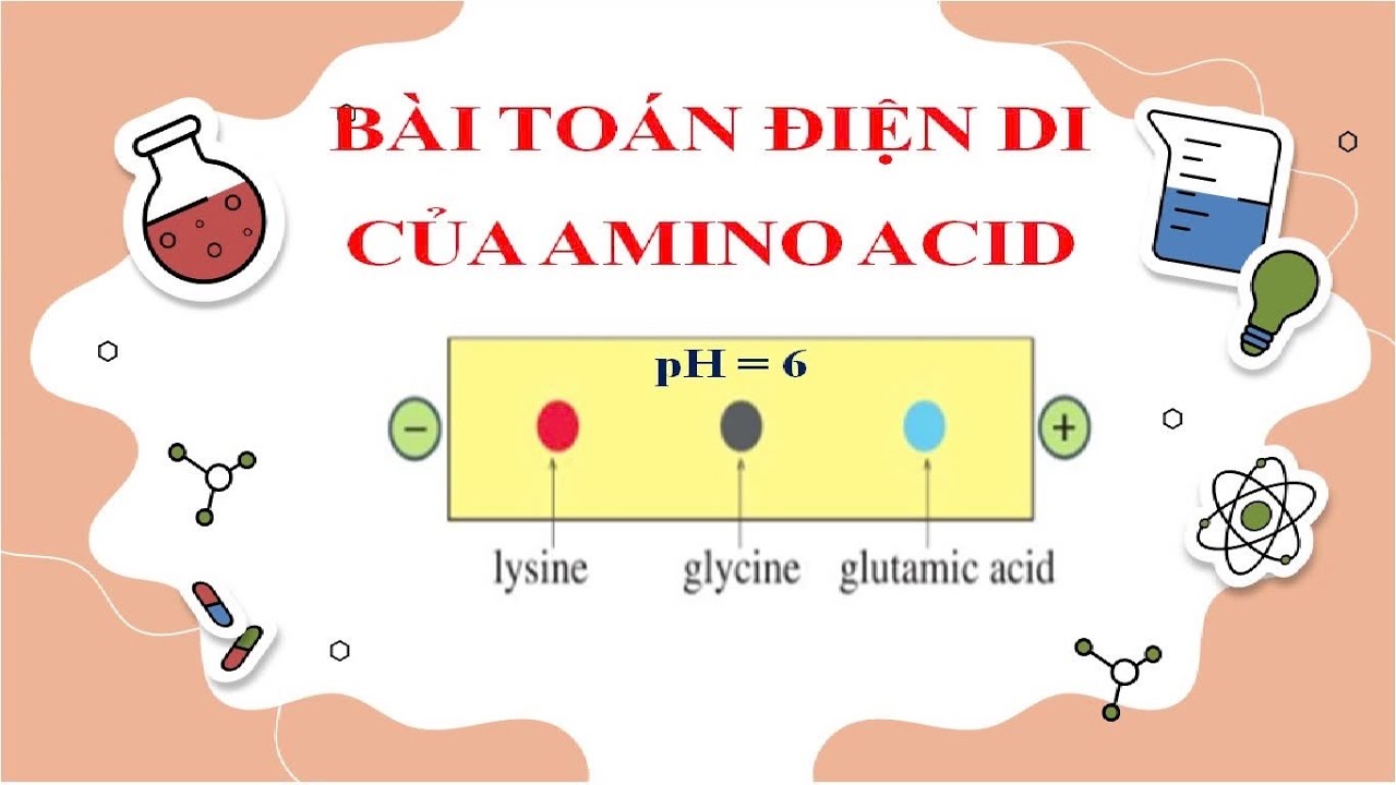 Hóa học 12/Bài toán điện di của amino acid 