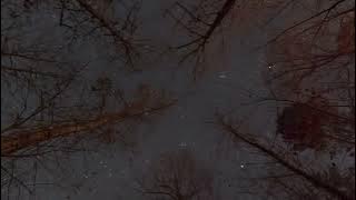 Leonid Meteor Showers of November 17-18 2025