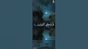 قُل لَّن يُصِيبَنَآ إِلَّا مَا كَتَبَ ٱللَّهُ لَنَا - شريف مصطفى [سورة التوبة,٥١-٥٢]