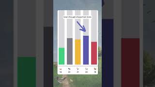 Preference voting explained (with farm animals)