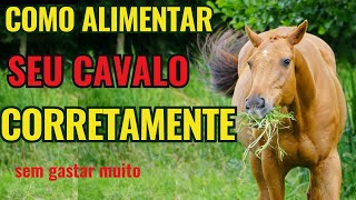 Como alimentar seu cavalo sem gastar muito