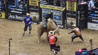 PBR bull-riding in Albuquerque! (2012)