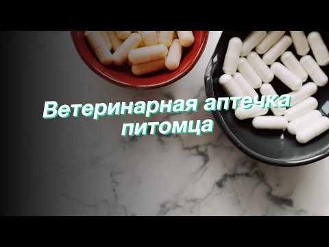 Ветеринарная аптечка питомца