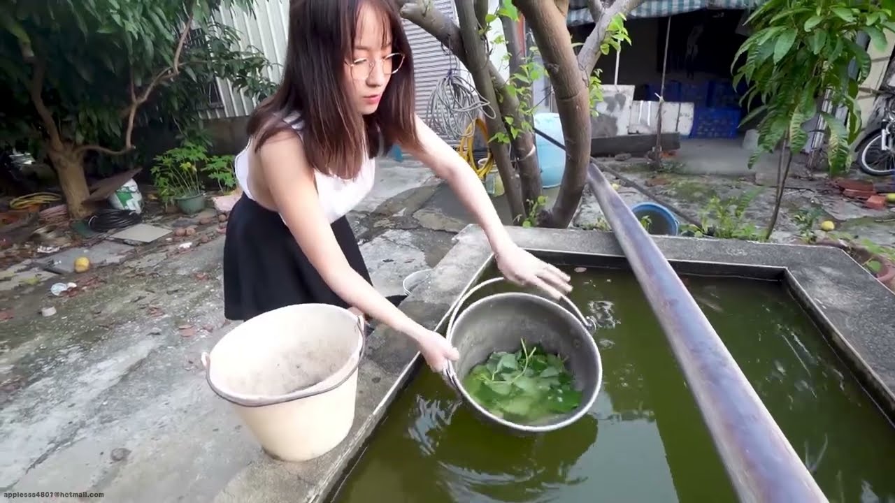 Farm Cooking: Garlic Sweet Potato Leaves｜農田野炊：蒜香地瓜葉｜農場で料理をする｜농장에서 요리하기｜खेत पर खाना बनाना