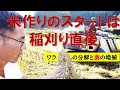 米作りのスタートは【稲刈り直後!!】