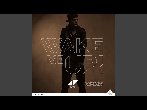Wake Me Up (Avicii Speed Remix)