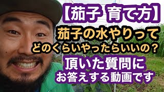 茄子 育て方 茄子の水やりってどのくらいやったらいいの 頂いた質問にお答えするシリーズ第2弾 Youtube