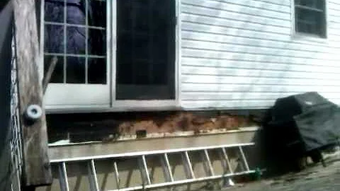 Deck collapse