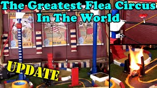 The Greatest Flea Circus In The World - Two Year Update