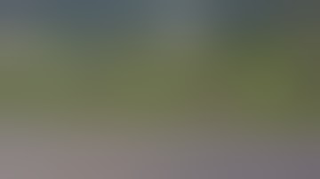 Ultimate Scorpion Fails || by FailArmy part 4