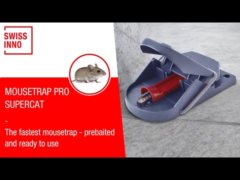 mouse trap, SuperCat, bait, mice