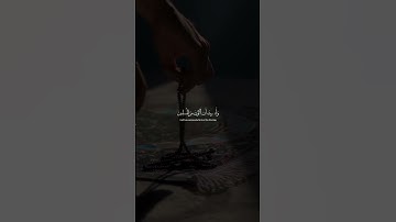 اقاري عبدالرحمن مسعد تلاوه جميله يحتوي على سورة يونس صلي على النبي محمد عليه افضل الصلاة