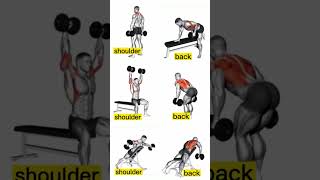 Day 29/75 Hard Challenge - Intense Back Workout Begins