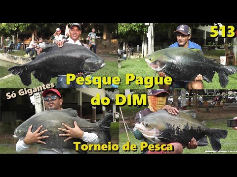 Pesque Pague do DIM - Torneio de Pesca - Fishingtur na TV 513