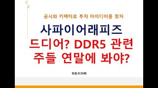 사파이어래피즈 드디어? DDR5 관련주들 연말에 봐야?