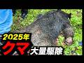 【総編集】2025年に大量出没したクマたち