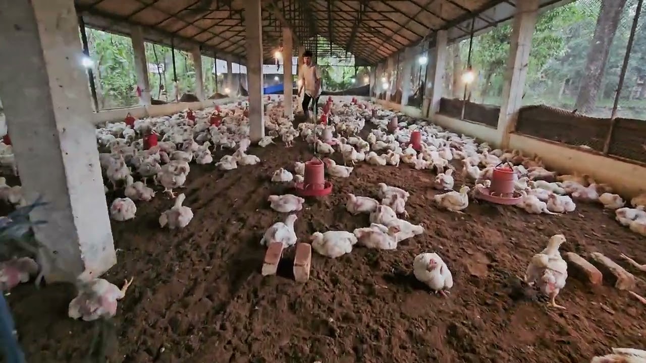 কথায় আছে যায় দিন ভালো আসছে দিন খারাপ_