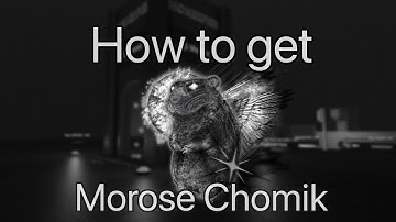 How to Get: Morose Chomik | Find the Chomiks