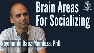 Which Brain Regions Drive Social Behavior?