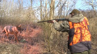 Hunting Fox and jackal in Serbia | Lov na šakala i lisicu kod Požarevca - Šakalijada - FULL VIDEO