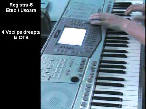 Demo Yamaha PSR 2100 by TehnoStore