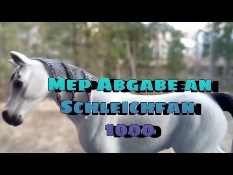 Mep Abgabe an