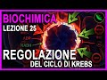 La REGOLAZIONE del CICLO DI KREBS : 3 ENZIMI da RICORDARE . -Biochimica Lezione 25