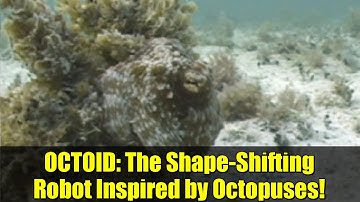OCTOID: The Shape-Shifting Robot Inspired by Octopuses!